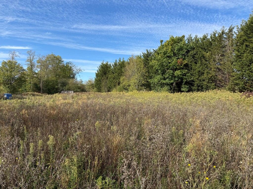 Lot: 26 - LAND IN FAVOURED LOCATION WITH OUTLINE PLANNING FOR SIX DWELLINGS - View of land from west boundary